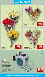 ALDI folder | Tuinspecial Pagina 4