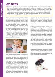 Just For Pets catalogue Page 10