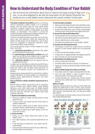 Just For Pets catalogue Page 18