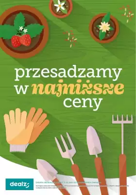 Dealz gazetka (ważność do 30-06)