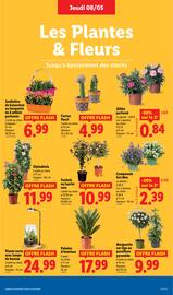 Catalogue Lidl semaine 19 page 35