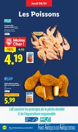 Catalogue Lidl semaine 19 page 9