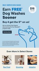 Petvalu flyer week 18 Page 31