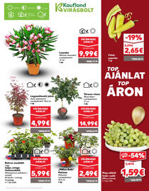 Kaufland SK akciós újság hét 18 Oldal 9