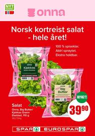 Spar Kundeavis Side 12
