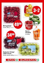 Spar Kundeavis Side 13