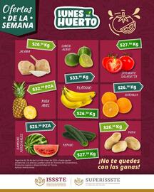 Catálogo SuperISSSTE semana 18 Página 2