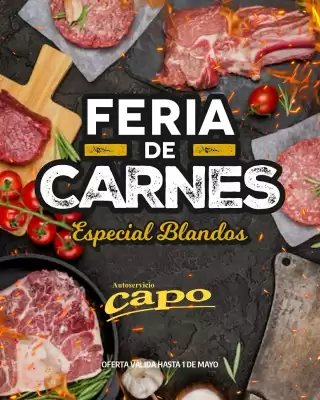 Catálogo Autoservicio Capo (válido hasta 1-05)
