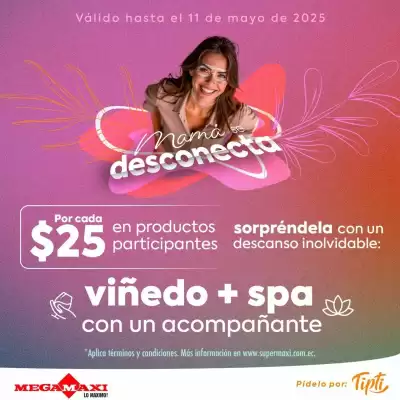 Catálogo Megamaxi (válido hasta 11-05)