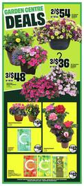 FreshCo flyer week 18 Page 7