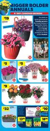 Real Canadian Superstore flyer week 18 Page 10
