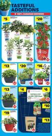 Real Canadian Superstore flyer week 18 Page 12