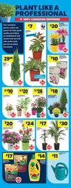 Real Canadian Superstore flyer week 18 Page 14