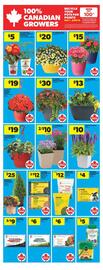 Real Canadian Superstore flyer week 18 Page 15