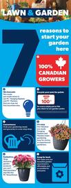 Real Canadian Superstore flyer week 18 Page 9