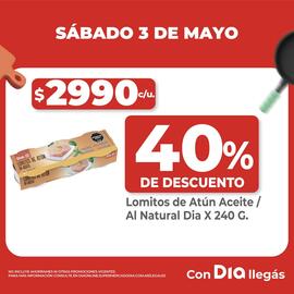 Catálogo Supermercados DIA Página 11