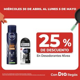 Catálogo Supermercados DIA Página 5