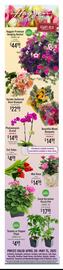 Haggen Food Weekly Ad Page 1