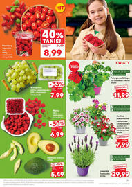 Kaufland gazetka tydzień 18 Strona 29