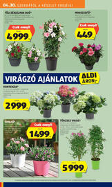 ALDI akciós újság hét 18 Oldal 18