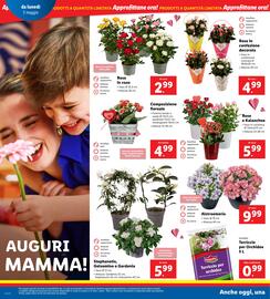 Volantino Lidl settimana 19 Pagina 22