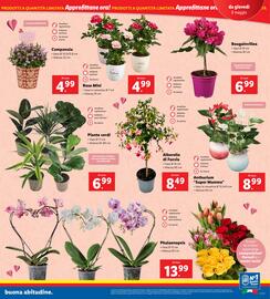 Volantino Lidl settimana 19 Pagina 23