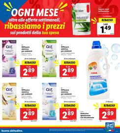 Volantino Lidl | Ribassi del mese Pagina 15