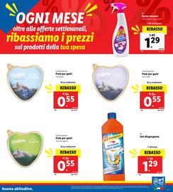 Volantino Lidl | Ribassi del mese Pagina 17