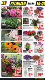 B1 Discount Baumarkt Prospekt woche 18 Seite 6