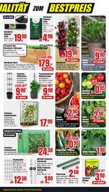 B1 Discount Baumarkt Prospekt woche 18 Seite 7