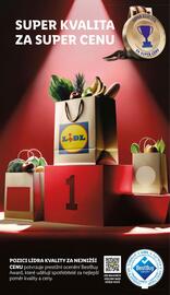 Lidl leták týden 19 Strana 13