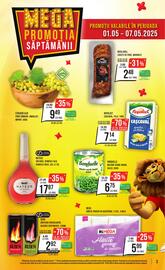 Catalog Mega Image săptămâna 18 Pagină 3
