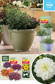 Aldi leaflet Page 11