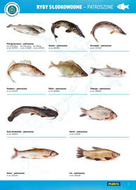 Makro gazetka Strona 7