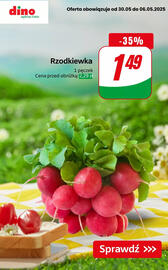 Dino gazetka tydzień 18 Strona 5