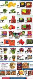 Big Y Weekly Ad week 18 Page 9