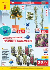 Netto Marken-Discount Prospekt Seite 12