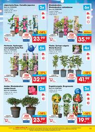 Netto Marken-Discount Prospekt Seite 13