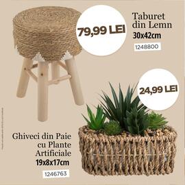 Catalog Jumbo Pagină 3