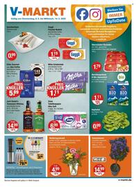 V Markt Prospekt woche 19 Seite 1