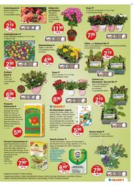 V Markt Prospekt woche 19 Seite 15