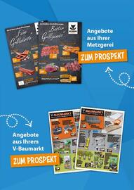 V Markt Prospekt woche 19 Seite 25