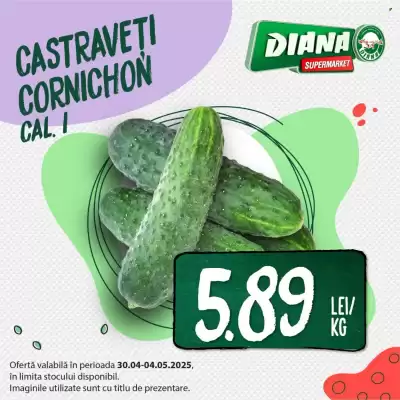 Catalog Diana Supermarket
