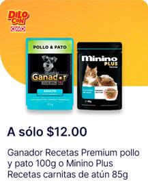 Catálogo OXXO Página 10