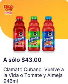Catálogo OXXO Página 47