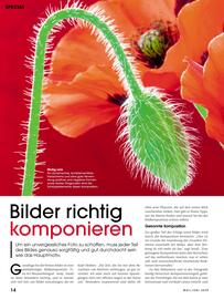 RINGFOTO Flugblatt Seite 14