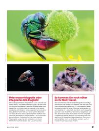 RINGFOTO Flugblatt Seite 21