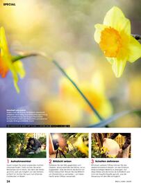RINGFOTO Flugblatt Seite 24