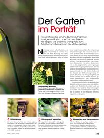 RINGFOTO Flugblatt Seite 25