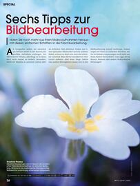 RINGFOTO Flugblatt Seite 26